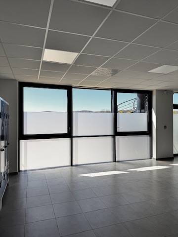 film dépoli occultant