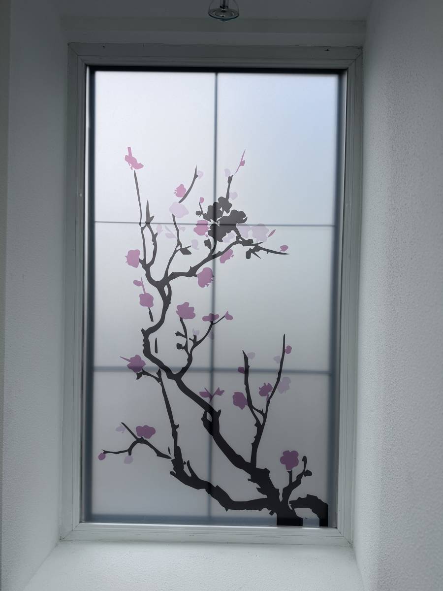 Pose de film dépoli occultant imprimé décoratif pour un cabinet médical à Obernai proche de Barr